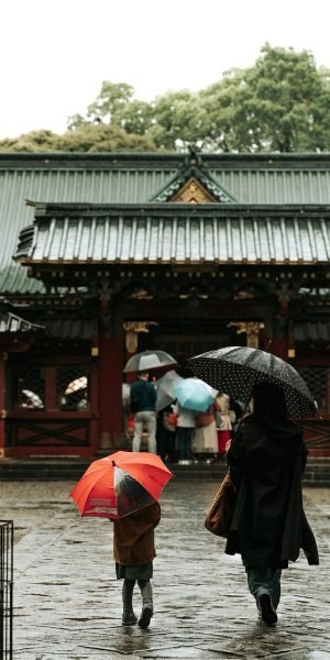 rain, nature, tree, temple, people