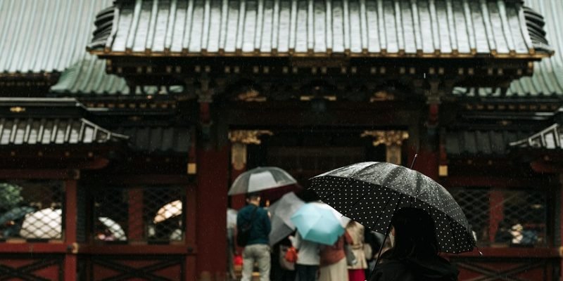 rain, nature, tree, temple, people